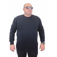 Moc Grande 23750 Lacivert Basic Sıfır Yaka Triko Erkek Kazak