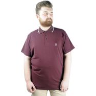 Mode XL 21554 Mürdüm Polo Erkek T-shirt