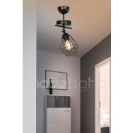 Modelight MDL.4260 Tekli Ekinoks Avize