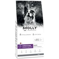 Molly Medium Adult 2 kg Kuzu Etli & Yaban Mersinli Orta ve Büyük Irk Yetişkin Köpek Maması