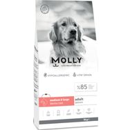 Molly Medium Adult Derma Care 15 kg Somonlu Orta ve Büyük Irk Yetişkin Köpek Maması