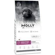 Molly Medium Puppy 15 kg Kuzu Etli & Yaban Mersinli Orta ve Büyük Irk Yavru Köpek Maması