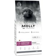Molly Medium Puppy 2 kg Kuzu Etli & Yaban Mersinli Orta ve Büyük Irk Yavru Köpek Maması