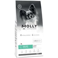 Molly Mini Adult Derma Care 2 kg Somonlu Küçük Irk Yetişkin Köpek Maması