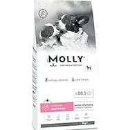 Molly Mini Starter 2 kg Tavuklu ve Yaban Mersinli Anne Yavru Köpek Maması