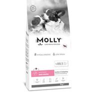 Molly Tavuklu ve Yabanmersinli Mini Starter 2 kg Yavru Köpek Maması