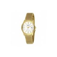 Momentus WP249G-02SG Bayan Kol Saati