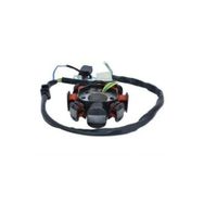Monero Kuba Dragon 50 cc Statör