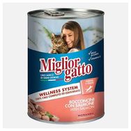 Morando Somon Parçacıklı 405 gr Konserve Kedi Maması