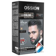 Morfose 1 Doğal Siyah Ossion Jel Boya
