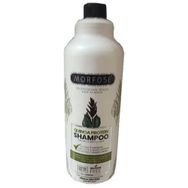 Morfose 1000 ml 2İn1 Argan Şampuan