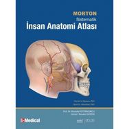 MORTON İNSAN ANATOMISI - ADAM DAVID MORTON;KURT H. ALBERTINE