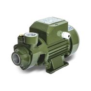 Mrs-Max QB70 0.75 HP 1'' Elektrikli Su Motoru Pompası