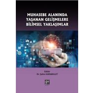 Muhasebe Alanında Yaşanan Gelişmelere Bilimsel Yaklaşımlar - Şahin Karabulut