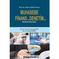 Muhasebe-Finans ve Denetimde Güncel Konular - Engin Demirel