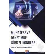 Muhasebe Ve Denetimde Güncel Konular - Meral Erol Fidan