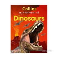 My First Book of Dinosaurs - kollektif