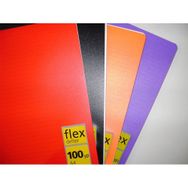 Mynote Flex Up PP 100 Yaprak A4 Spiralli Çizgili Defter