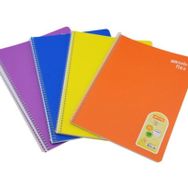 Mynote Flex Up PP 100 Yaprak A4 Spiralli Kareli Defter