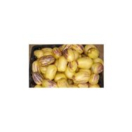 Nadir 5 Adet İthal Pepino Meyvesi Tohumu