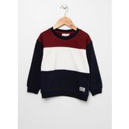 Name İt Nkmvance Ls Swe Bru N Çok Renkli Bordo 19-1724 Tcx Erkek Çocuk Kapüşonlu Ve Kapüşonsuz Sweatshirt