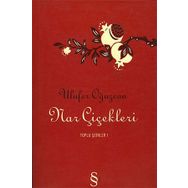NAR ÇİÇEKLERİ - ULUFER OĞUZCAN