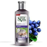 Natur Vital Silver Blueberry 300 ml Şampuan