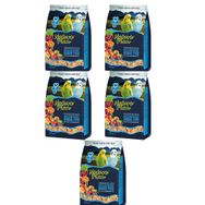 Nature Plan 5x1 kg Meyve Aromalı ve Ballı Muhabbet Yemi