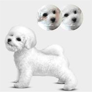 Natures Protection Adult Kuzu Etli Küçük Irk Beyaz Tüylü Yetişkin 17 kg Köpek Maması
