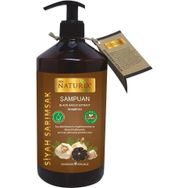 Naturix Black Garlic Extract 600 ml Saç Dökülmeleri için Sarımsak Özlü Bakım Şampuanı