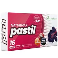 Naturmax 16 Adet Pastil