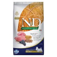 N&D Ancestral Grain Köpek Kuzu Kılçıksız Buğday Yulaf ve Yaban Mersini Yetişkin Mini 2.5 kg Köpek Maması