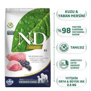 N&D Prime Tahılsız Kuzu Eti ve Yaban Mersinli 1.5 kg Yetişkin Kedi Maması