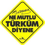 Ne Mutlu Türküm Diyene - Emine Işınsu