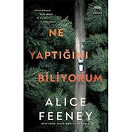Ne Yaptığını Biliyorum - Alice Feeney