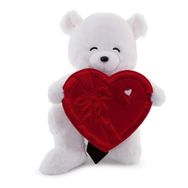 Neco Toys 55 cm Plush Plush Fluffy Kalp Kutu Flamalı Serenat Ayı Oyuncak