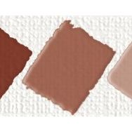 Nerchau Hobby Orta Kahverengi 59 ml Akrilik Glossy