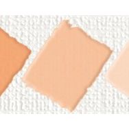 Nerchau Hobby Salmon 59 ml Akrilik Glossy