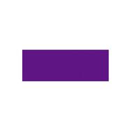 Nerchau Violet 59 ml İpek Boyası