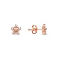 Nereze 925 Ayar Rose Kaplama Minimal Kartanesi Gümüş Küpe