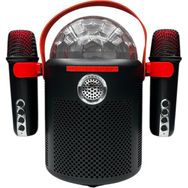 Nettech Y-13 Karaoke Box Kablosuz Hoparlör