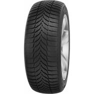 Nexen 225/40 R18 92V XL Winguard Sport 2 Kış Lastiği