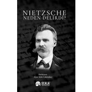 Nietzsche Neden Delirdi Ayşe Şirin Çakmakçı