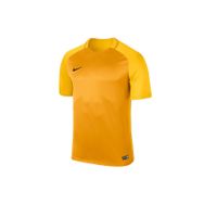 Nike 881483-739 Sarı Erkek Forma