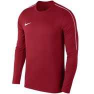 Nike AA2088-657 Kırmızı M Nk Dry Park18 Crew Top Erkek T-Shirt