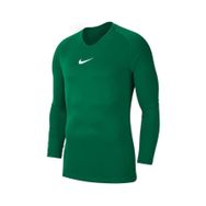 Nike AV2609-302 M Nk Df Park 1Stlyr Jsy Ls Yeşil Erkek T-Shirt