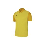 Nike BV6725-719 Trophy IV Jsy Sarı Erkek Futbol Forma