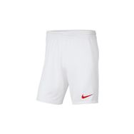 Nike BV6855-103 M Nk Df Park III Nb K Erkek Şort