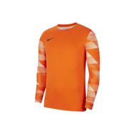 Nike CJ6066-819 Erkek Futbol Forması