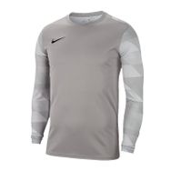 Nike CJ6066 M Nk Dry Park IV Erkek Futbol Kaleci Forması